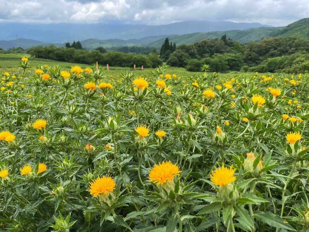 学びの会「スペシャルツアー」
