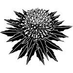 紅花