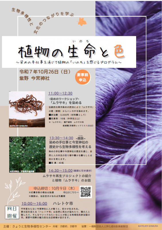 【京都・今宮神社】「植物の生命と色」ムラサキを染めるワークショップ