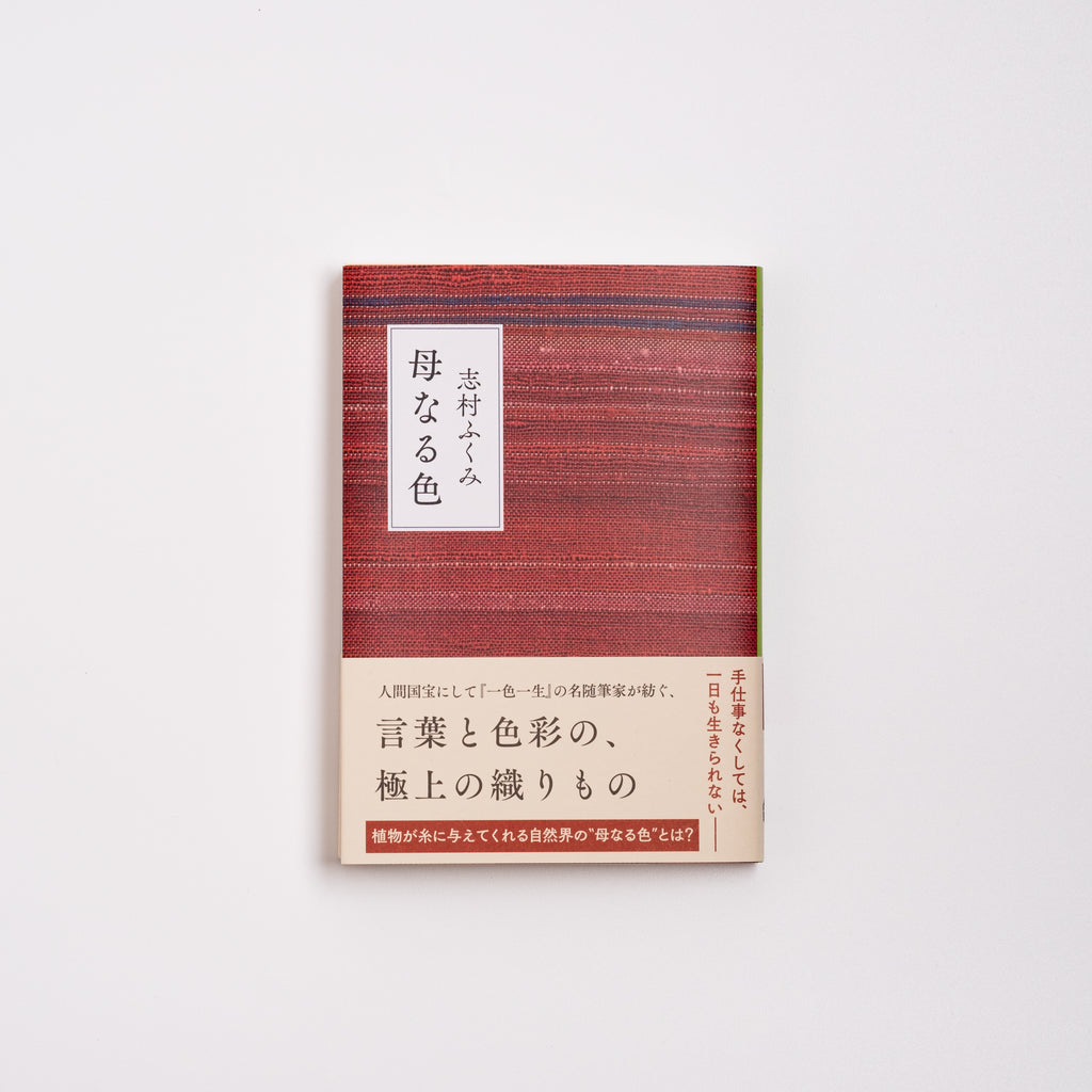 母なる色 （文庫）